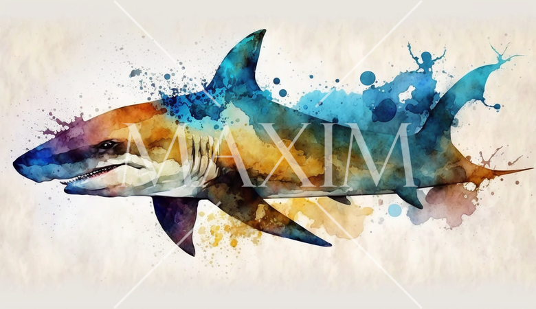 サメ：泳いでいるサメの水彩画