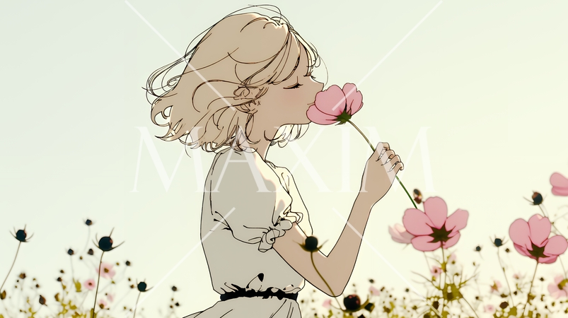 コスモス畑にいる若い女性（シンプルな色使い）