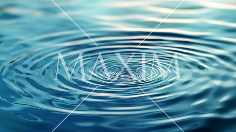 静かな水面にできた一つの波紋