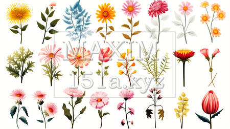 バリエーション豊かな色々な花のアイコンのリファレンスシート（イラストID:2054415-18899）