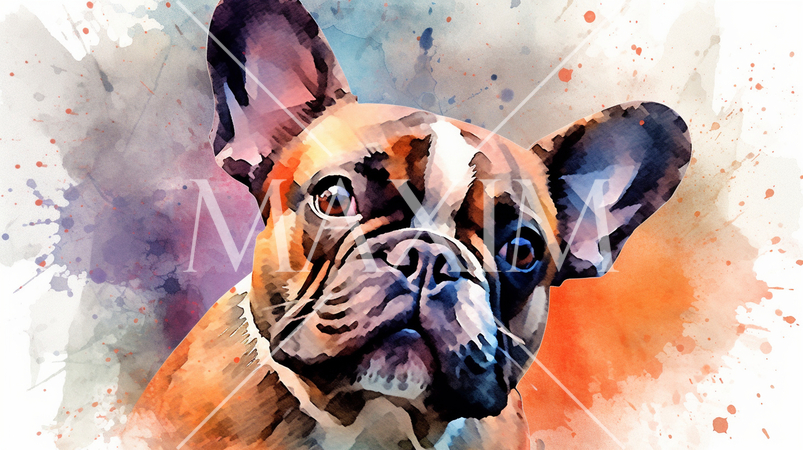 フレンチ・ブルドッグの水彩画