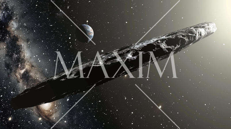 オウムアムア：太陽系外天体