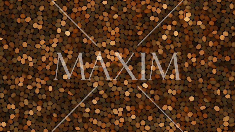 両目で見つめると立体的に見えてくるランダムドットステレオグラム（RDSG）背景画像：精緻CG画像