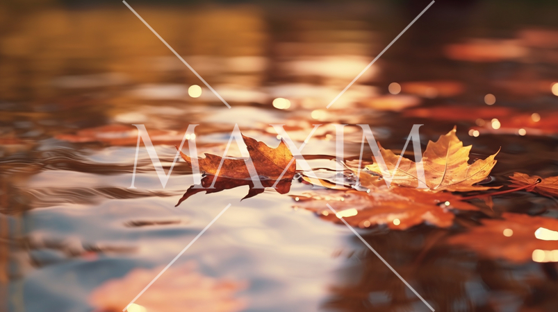 水面から見た紅葉：精緻CG