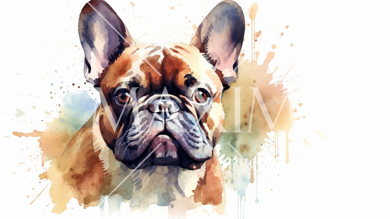 フレンチ・ブルドッグの水彩画