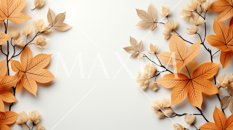 枯れ葉のある美しい秋の自然の白い背景：テキストコピースペースあり