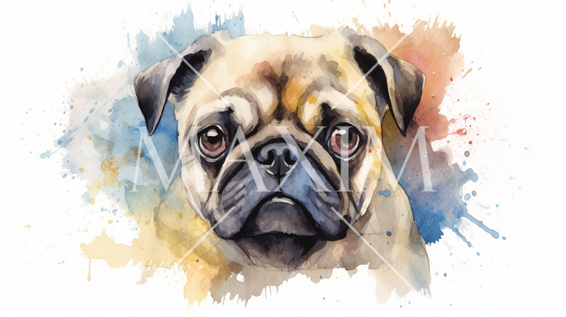 パグの水彩画