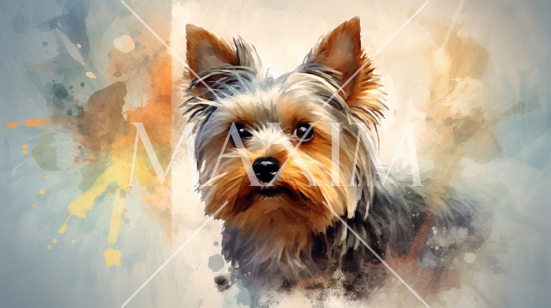 ヨークシャーテリアの水彩画