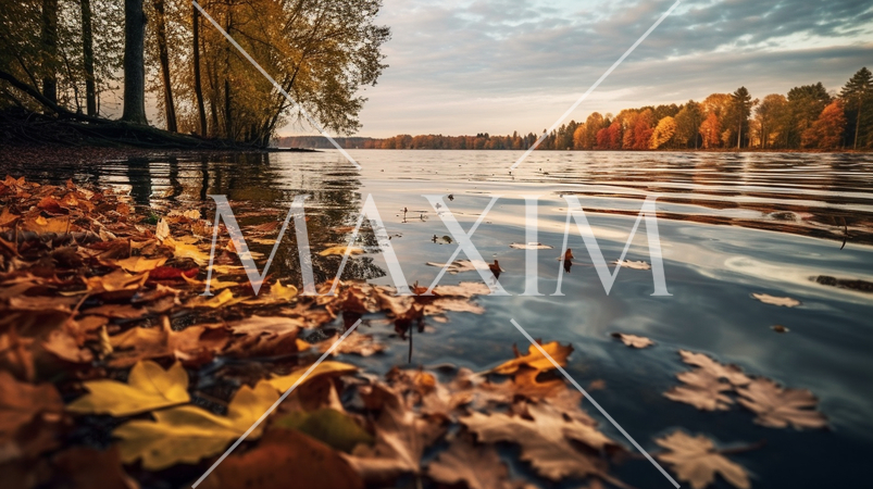 水面から見た紅葉：精緻CG