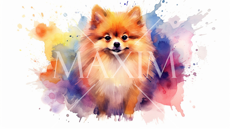 ポメラニアンの水彩画