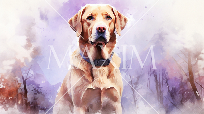 ラブラドール・レトリバーの水彩画