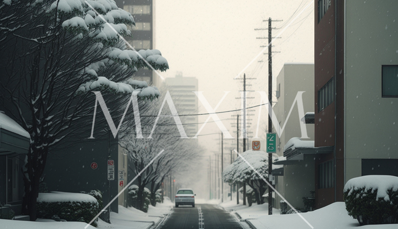 東京の雪の日の朝の静寂