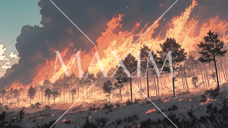 大規模な山林火災（大きな山火事）