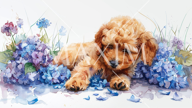 あじさいとトイプードル