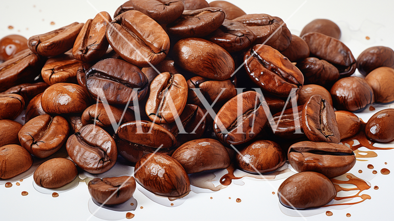 コーヒー豆：水彩画