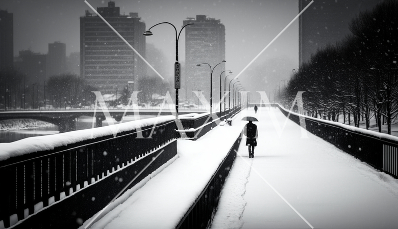 東京の雪の日の朝の静寂