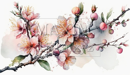 桃の花の水彩画（イラストID:3262720-19845）