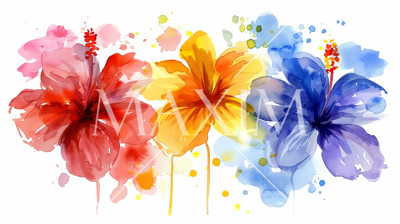 いろいろな色のハイビスカスの水彩画