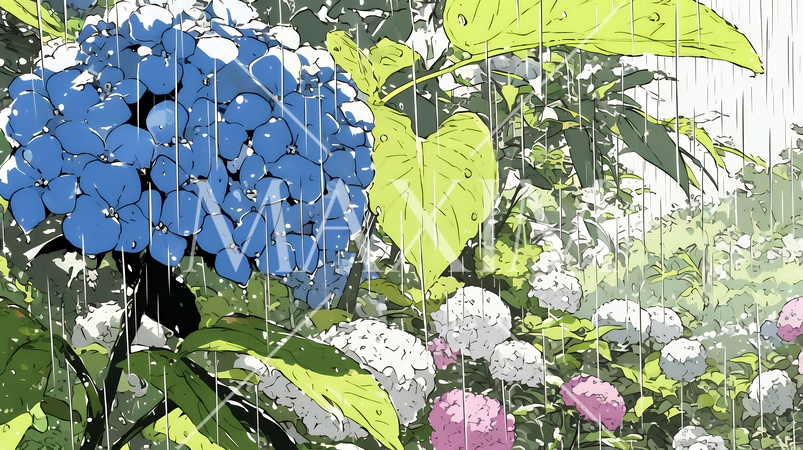 満開のアジサイと梅雨の雨