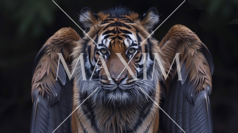 虎に翼：実際に翼の生えた虎