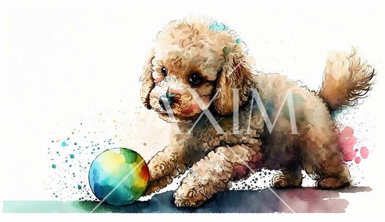 ボールで遊んでいるトイプードル