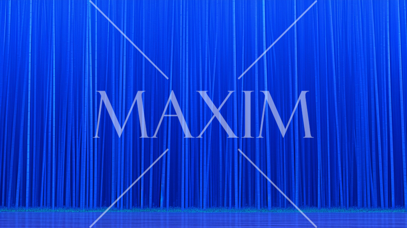 整然と凜と伸びた竹林の静寂