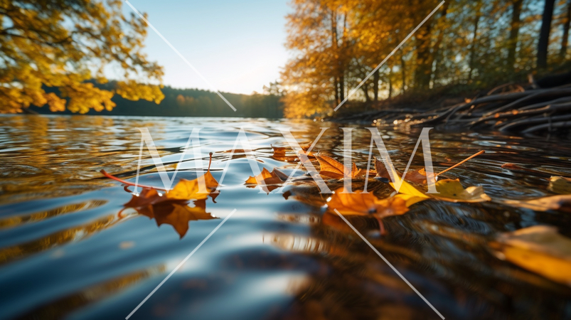 水面から見た紅葉：精緻CG