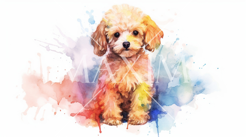 トイプードルの水彩画