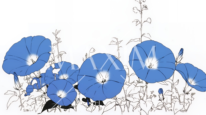 アサガオの花（シンプルな色使い）