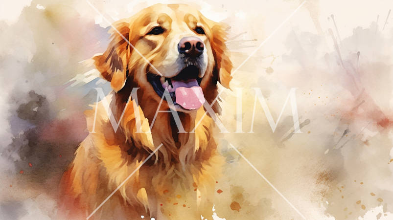 ゴールデン・レトリバー-水彩画