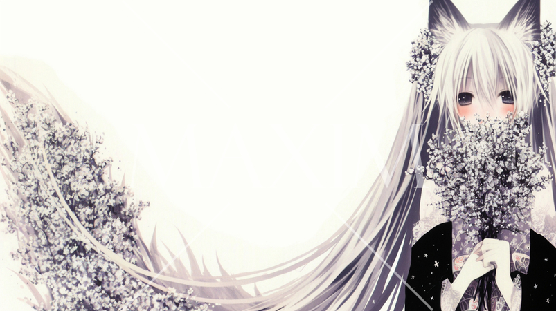 狐の嫁入り：狐の花嫁ってこんな感じかな（ススキとかで飾り付け）