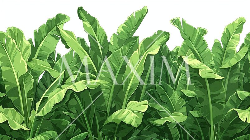 南国風観葉植物の密集