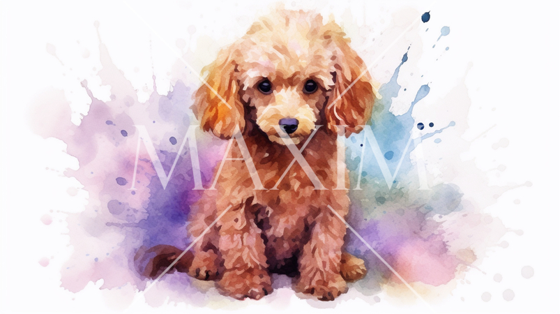 トイプードルの水彩画