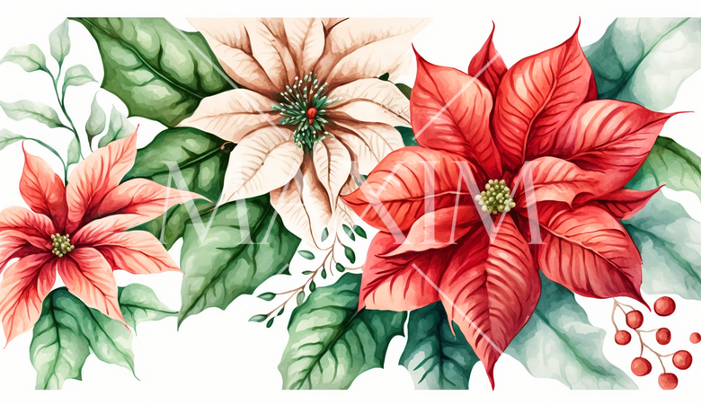 ポインセチアの花の水彩画