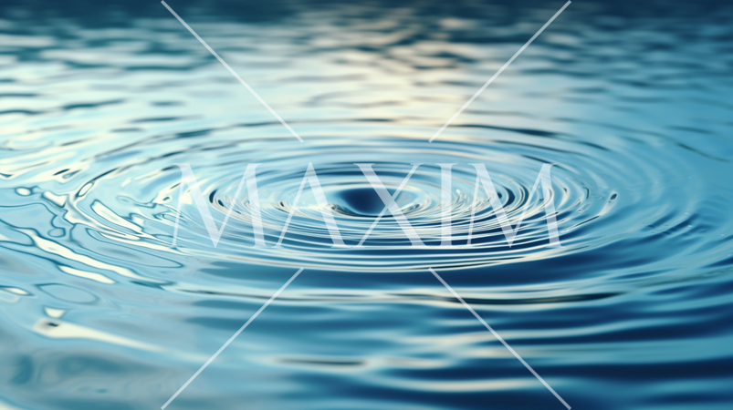 静かな水面にできた一つの波紋