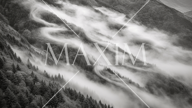 杉林の朝の雲海