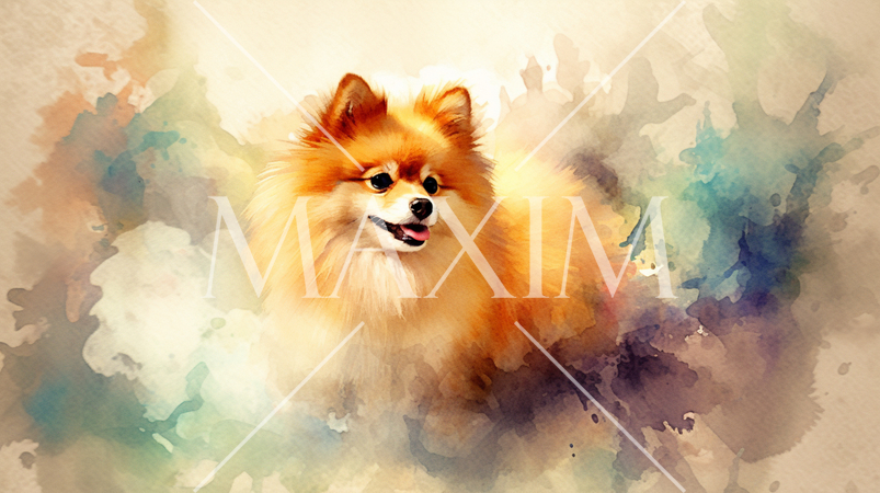 ポメラニアンの水彩画