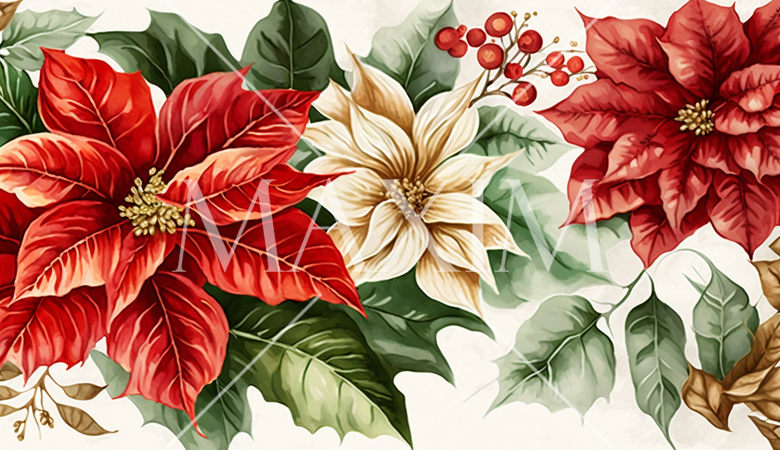 ポインセチアの花の水彩画
