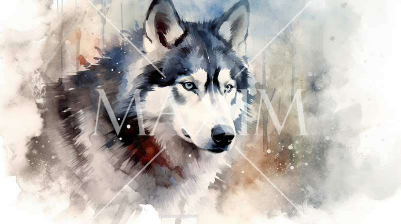 アラスカン・マラミュート-水彩画
