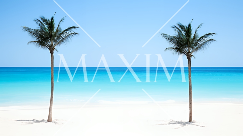 青い空と青い海と白い砂浜とヤシの木