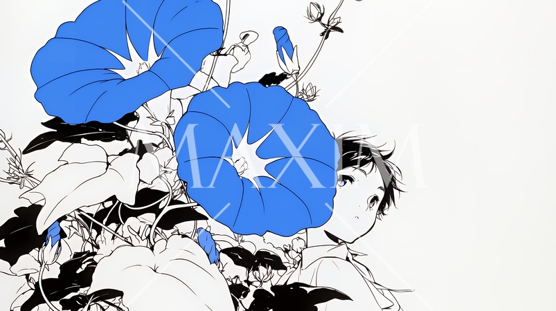 アサガオの花（シンプルな色使い）