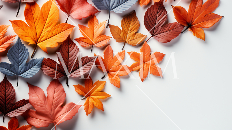 枯れ葉のある美しい秋の自然の白い背景：テキストコピースペースあり