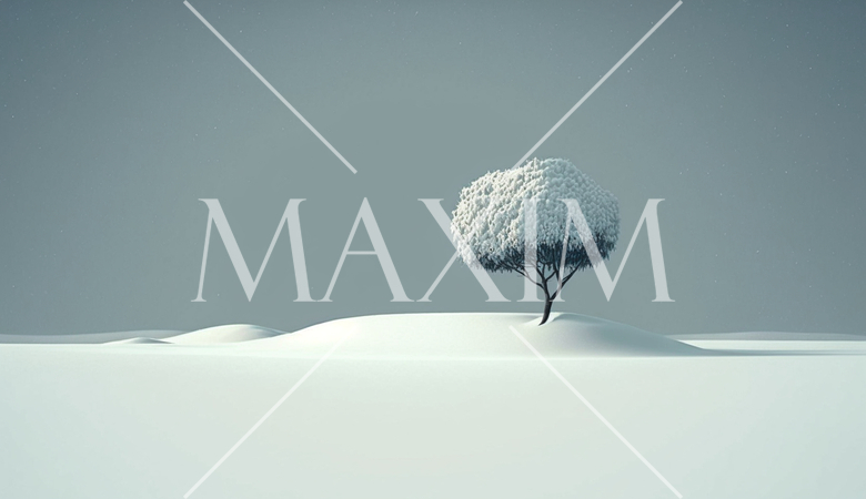 最小要素で表現した凍てつくような雪景色