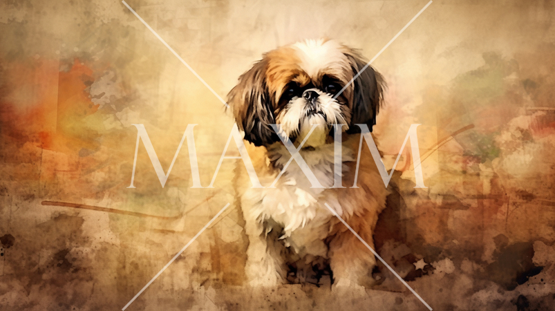 シーズーの水彩画