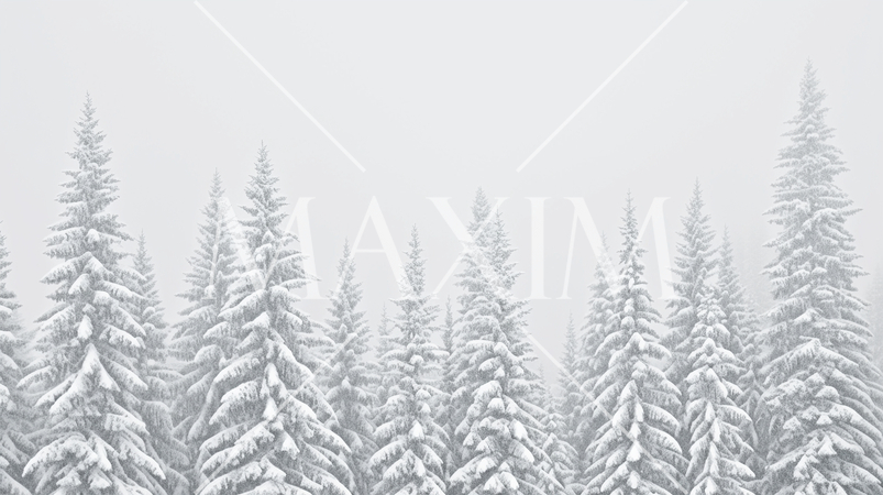 朝霧が立ちこめる森と山の遠景：水墨風