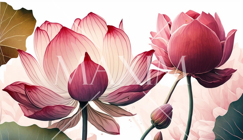 ハスの花の水彩画