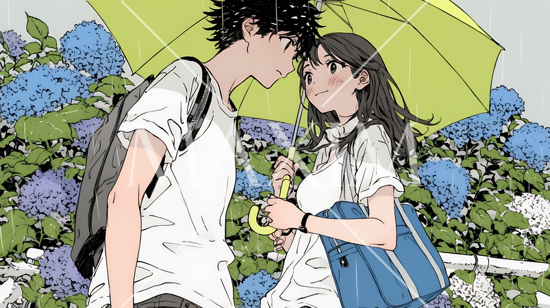 満開のあじさいの中を仲良く相合い傘で歩く若いカップル