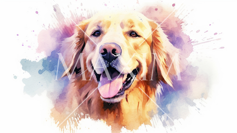 ゴールデン・レトリバー-水彩画