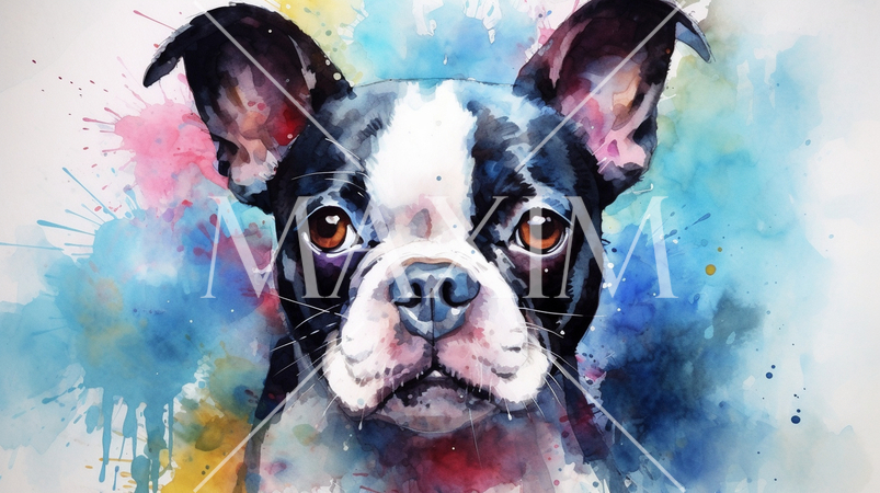 ボストンテリアの水彩画