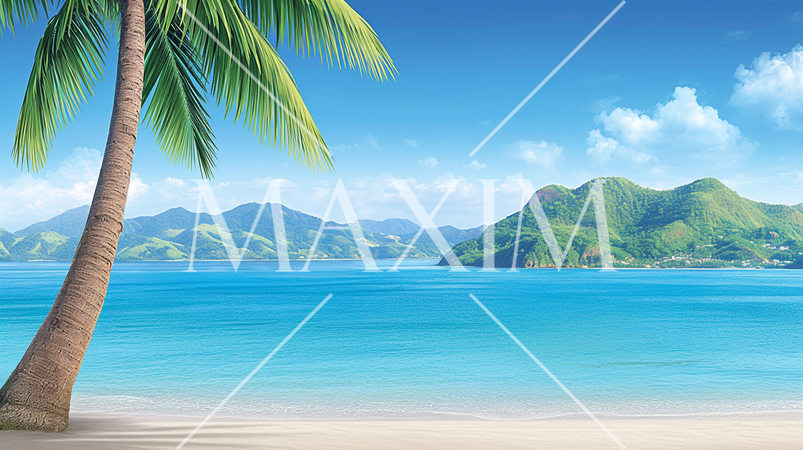 やしの木と海岸と海と青空がきれいな南国のリゾート地